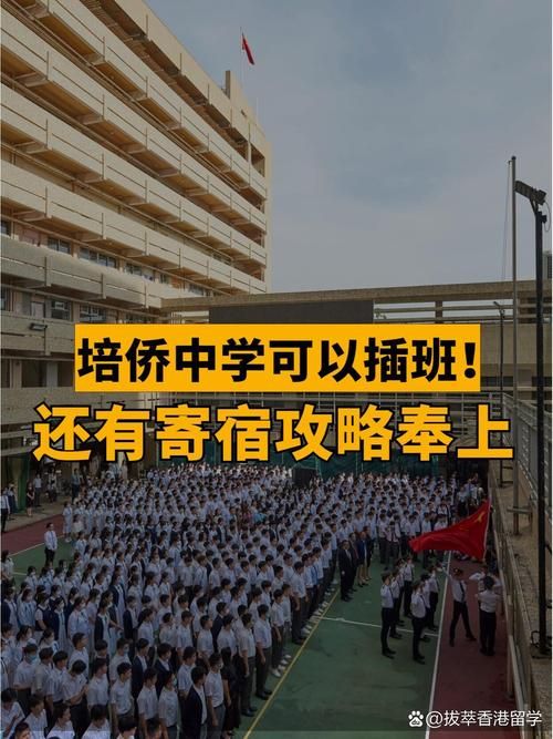 香港中学插班视频回放在哪看?官方渠道与免费资源