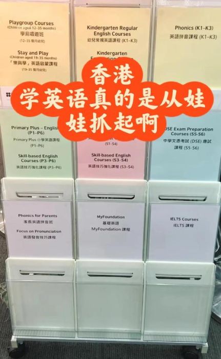 中三插班香港英语学习方案 家长必读选校与资源指南