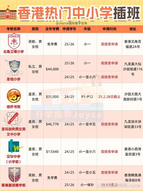 新界插班择校指南 香港优质中小学推荐清单