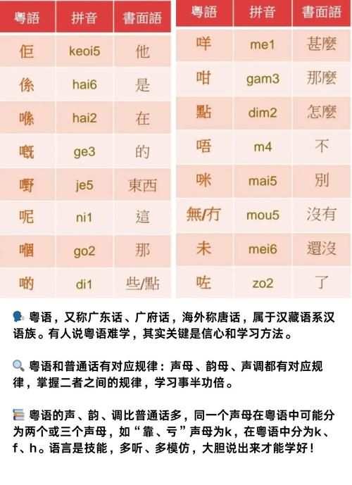 粤语零基础如何适应香港插班?附免费学习资源推荐